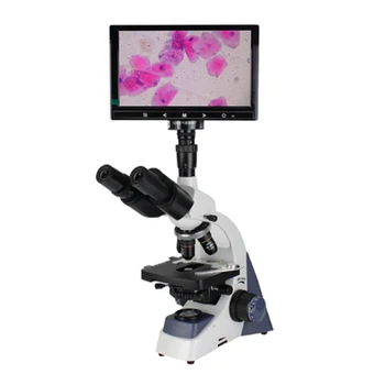 FHD3800 Trinoküler Biyolojik Mikroskop Yüksek çözünürlüklü Görüntüleme Geniş Görüş alanı Bakteriyel kan Algılama