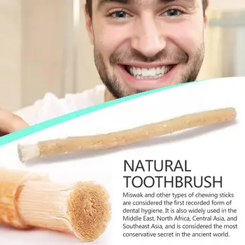 1 adet Taşınabilir Miswak Siwak Doğal Diş Fırçası Misvak Beyazlatıcı Manuel Diş Seyahat Miswaak Geleneksel Diş Fırçası Arak T1V7